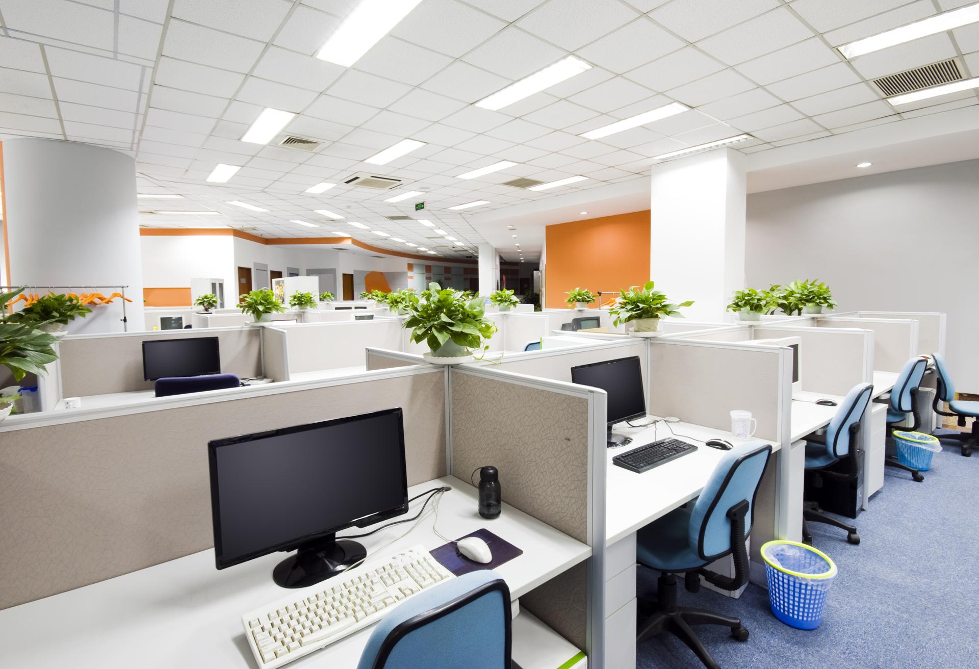 Cost-Effective Office Cleaning in Campbells Bay